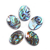 Natural Abalone Shell/Paua Shell Cabochons LS-SSHEL-L017-003-1