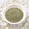 MIYUKI Delica Beads X-SEED-J020-DB1766-2