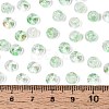 Baking Paint Transparent Glass Beads DGLA-T004-07G-4