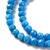 Natural Howlite Beads Strands G-C025-02B-10-4