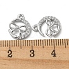 Brass Micro Pave Cubic Zirconia Charms LS-KK-H460-58P-3