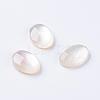 Shell Cabochons G-L470-15-1