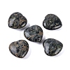 Natural Kambaba Jasper Healing Stones G-G020-01-02-1