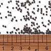 11/0 FGB Grade A Baking Paint Glass Seed Beads X-SEED-N001-A-1050-3