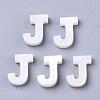 Natural Freshwater Shell Beads SHEL-T012-59J-1