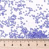 MIYUKI Round Rocailles Beads SEED-X0056-RR0417L-4