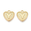Alloy Pendants PALLOY-N157-001Y-NR-1