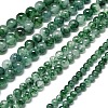 Natural Malaysia Jade Beads Strands G-L645-C01-14mm-03-2