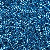 Glass Bugle Beads SEED-S032-08A-23B-3