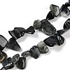 Natural Eagle Eye Stone Nuggets Beads Strands G-B125-A15-01-1