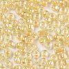 8/0 Glass Seed Beads SEED-A016-3mm-202-2