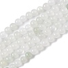 Natural Tianshan Cui Quartzite Beads Strands G-B046-01D-1