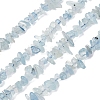 Natural Aquamarine Chips Beads Strands G-D0002-A02-2