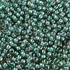TOHO 11/0 Round Beads X-SEED-TR11-0953-2