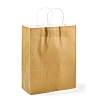 Pure Color Kraft Paper Bags LS-AJEW-G020-D-06-4