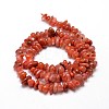 Dyed Natural Carnelian Chip Beads Strands X-G-E271-74-2