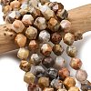 Natural Crazy Agate Beads Strands G-Z119-A13-03-1