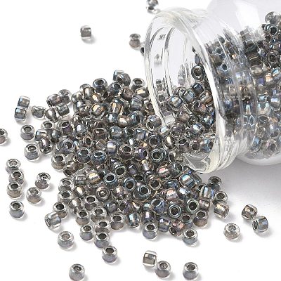 TOHO 6/0 Round Beads X-SEED-TR06-0266-1