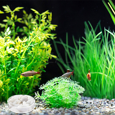 8Pcs 2 Style Transparent Acrylic Aquarium Shrimp Feeding Dishes AJEW-GO0001-01-1