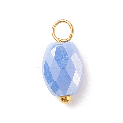 Electroplate Glass Pendants PALLOY-JF01541-04-1
