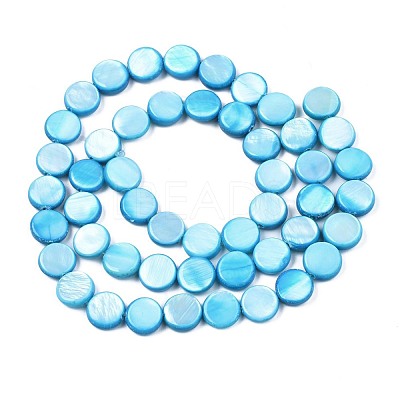 Freshwater Shell Beads Strands SHEL-T009-B16-05-1