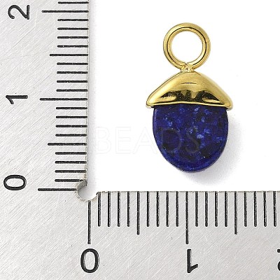 Dyed Natural Lapis Lazuli Pendants STAS-L277-07G-06-1