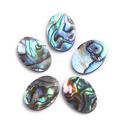 Natural Abalone Shell/Paua Shell Cabochons LS-SSHEL-L017-003-1