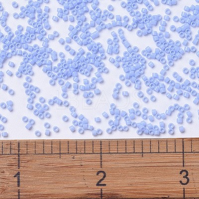 MIYUKI Delica Beads SEED-J020-DB1137-1