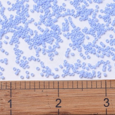 MIYUKI Delica Beads SEED-X0054-DB1137-1