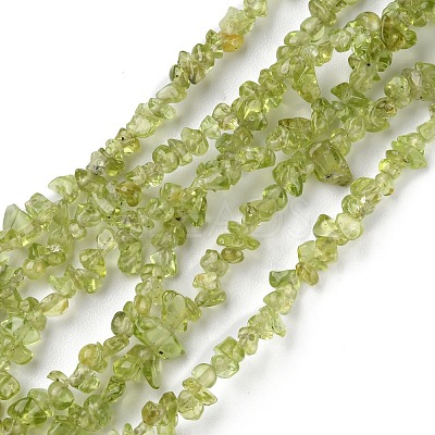 Natural Peridot Beads Strands G-G0003-B27-1