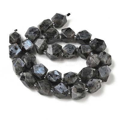 Natural Labradorite Beads Strands GG-CBAF8A8-A05-01-1