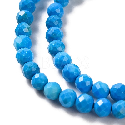 Natural Howlite Beads Strands G-C025-02B-10-1