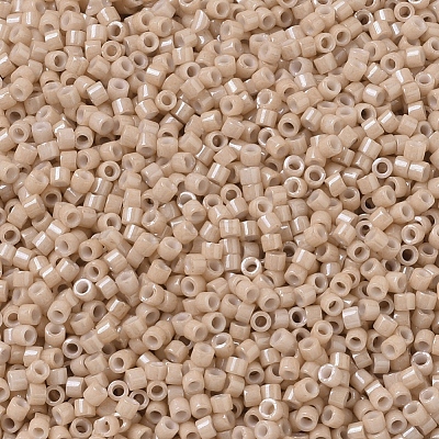 MIYUKI Delica Beads X-SEED-J020-DB0208-1