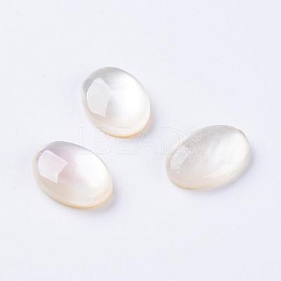 Shell Cabochons G-L470-15-1