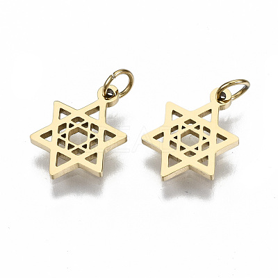 304 Stainless Steel Pendants STAS-S116-046G-1
