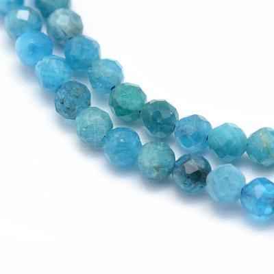 Natural Apatite Beads Strands G-E411-36-3mm-1
