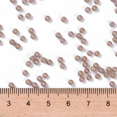 MIYUKI Round Rocailles Beads X-SEED-G008-RR0641-1