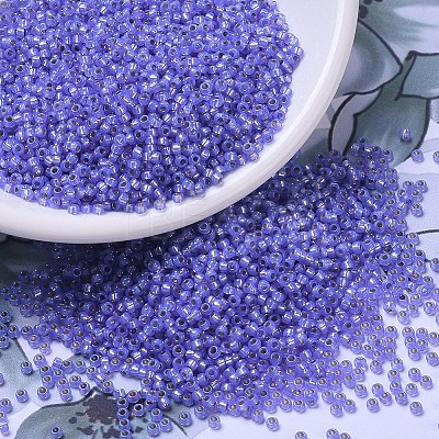 MIYUKI Round Rocailles Beads X-SEED-G007-RR0649-1