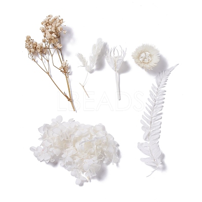 Dried Flowers X-DIY-D052-04-1