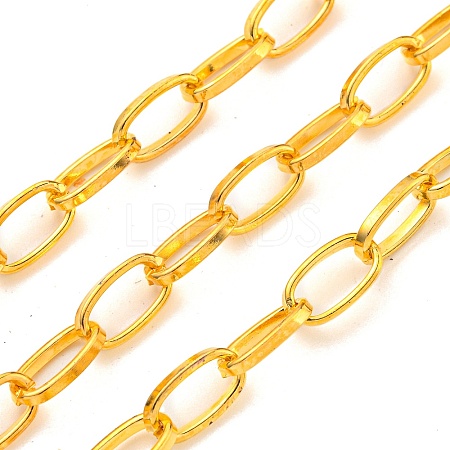 Iron Paperclip Chains CH-R025-10x5mm-G-1