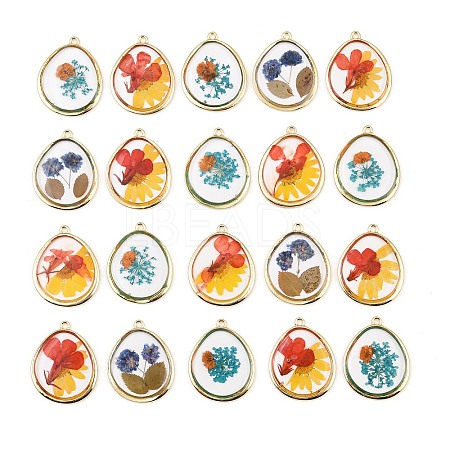 Alloy Resin Pendants RE-CBA591C-03G-1