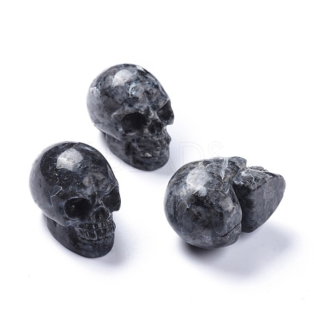 Halloween Natural Larvikite Home Decorations DJEW-K015-03-1