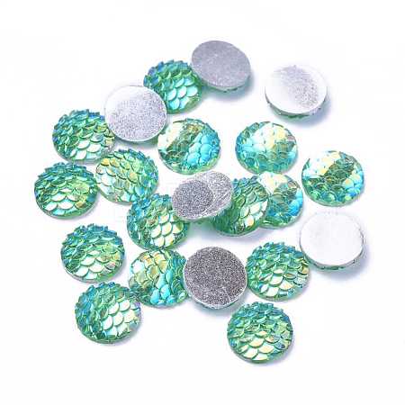 Resin Cabochons CRES-Q191-HA023-3-1