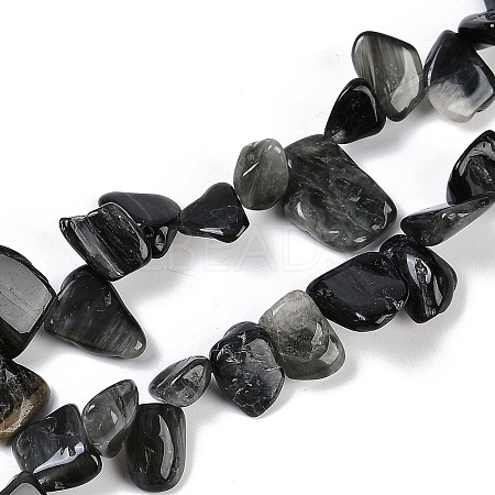 Natural Eagle Eye Stone Nuggets Beads Strands G-B125-A15-01-1
