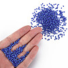 12/0 Glass Seed Beads SEED-S005-8-5