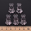 Transparent Acrylic Beads MACR-S373-81-B03-5