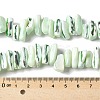 Dyed Natural Trochus Shell Beads Strands SSHEL-C013-09I-4