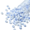 6/0 Opaque Glass Seed Beads SEED-YW0002-13E-2