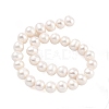 Natural Cultured Freshwater Pearl Beads Strands PEAR-C003-12G-X-3
