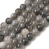 Natural Gemstone Cloudy Quartz Round Bead Strands X-G-O021-8mm-03B-1